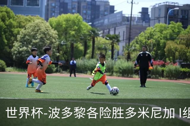 世界杯-波多黎各险胜多米尼加 I组4队均3胜1负
